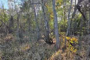 414 Hwy 105 W, Liberty, TX 77575 - Photo 1