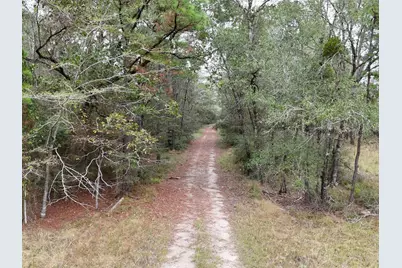 Tbd Tract 1 Percy Howard Road, Huntsville, TX 77320 - Photo 1