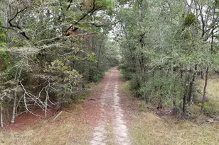 Tbd Tract 1 Percy Howard Rd, Huntsville, TX 77320 - Photo 1