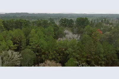 Tbd Tract 1 Percy Howard Road, Huntsville, TX 77320 - Photo 3