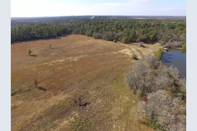 Tbd Tract 1 Percy Howard Road, Huntsville, TX 77320 - Photo 11