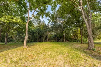 143 Wild Phlox Drive, Bellville, TX 77418 - Photo 5