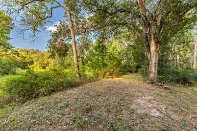 143 Wild Phlox Drive, Bellville, TX 77418 - Photo 3