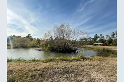 9381 Fm 1486 Road, Anderson, TX 77830 - Photo 7