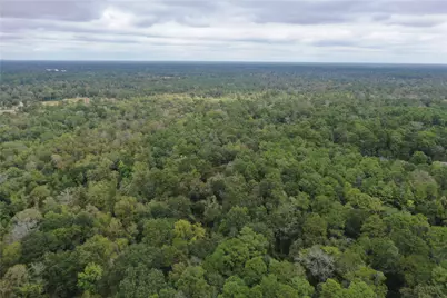 0 Stella Lane, Tomball, TX 77375 - Photo 1