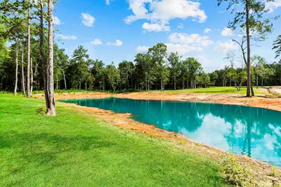 769 Lost Lake, Livingston, TX 77351 - Photo 5