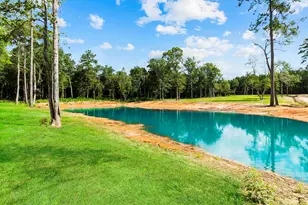 769 Lost Lake, Livingston, TX 77351 - Photo 5