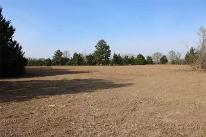 619 Page Road, Shepherd, TX 77371 - Photo 7