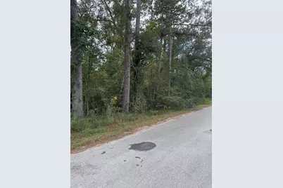 Lot 17 Long Street, Splendora, TX 77372 - Photo 1