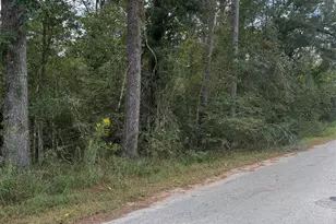 Lot 17 Long St, Splendora, TX 77372 - Photo 1