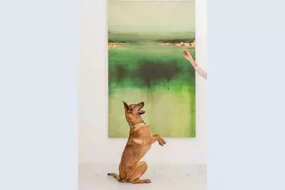 625 Piney Point Road, Houston, TX 77024 - Photo 7