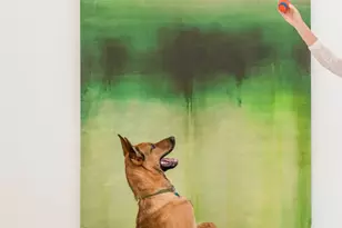 625 Piney Point Rd, Houston, TX 77024 - Photo 7