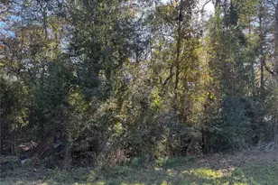 Tbd Hunters Trail, New Caney, TX 77357 - Photo 7