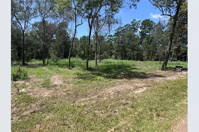 Tbd County Road 201 Loop, Plantersville, TX 77363 - Photo 5
