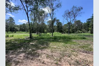 Tbd County Road 201 Loop, Plantersville, TX 77363 - Photo 3