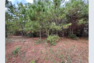 3116 County Road 3479B, Cleveland, TX 77327 - Photo 1