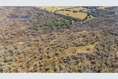 17668 Highway 21 W, North Zulch, TX 77872 - Photo 25