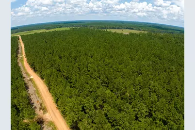 T-3 Benny Griffin Road, Livingston, TX 77351 - Photo 15