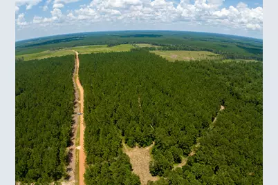 T-3 Benny Griffin Road, Livingston, TX 77351 - Photo 17