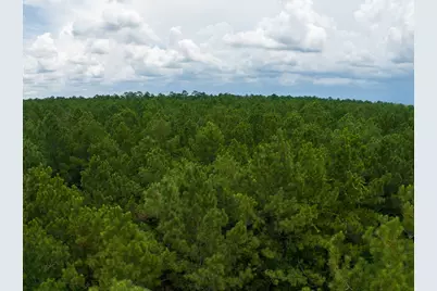 T-3 Benny Griffin Road, Livingston, TX 77351 - Photo 31