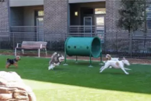 2033 S Gessner Rd, Houston, TX 77063 - Photo 19