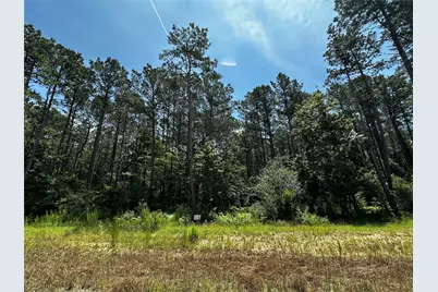 11885 Dawn Tree Lane, Willis, TX 77378 - Photo 1
