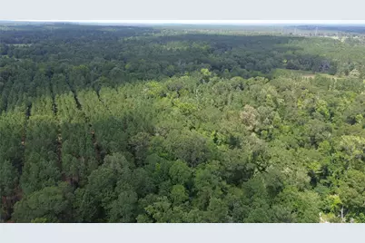 Tbd County Road 4030, Crockett, TX 75835 - Photo 15