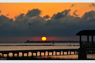 207 Lokai Street, Galveston, TX 77554 - Photo 45