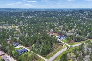 10752 Ruger Rd, Willis, TX 77378 - Photo 3