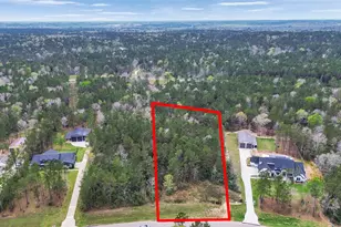 10752 Ruger Rd, Willis, TX 77378 - Photo 1