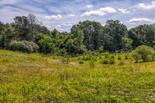 1237 Private Rd 2181, Giddings, TX 78942 - Photo 41
