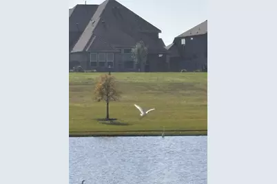 7414 Evelyn Grove Drive, Spring, TX 77379 - Photo 49