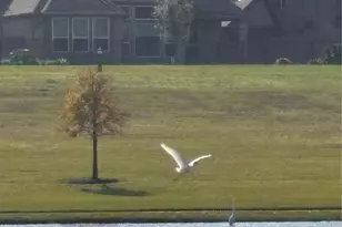 7414 Evelyn Grv Dr, Spring, TX 77379 - Photo 49