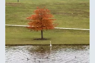 7414 Evelyn Grove Drive, Spring, TX 77379 - Photo 43