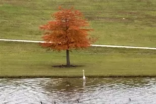 7414 Evelyn Grv Dr, Spring, TX 77379 - Photo 43