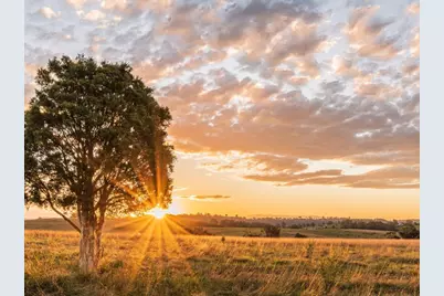 Lot 20 328 Rolling Hill Drive, Cat Spring, TX 78933 - Photo 1