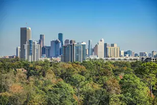 101 Westcott St, Houston, TX 77007 - Photo 25
