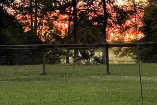 13874 Oak Manor Dr, Willis, TX 77318 - Photo 49