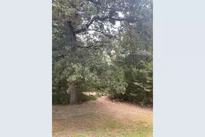 165 Navarro Drive, Hilltop Lakes, TX 77871 - Photo 3