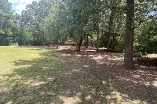 165 Navarro Dr, Hilltop Lakes, TX 77871 - Photo 1