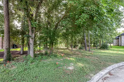 15 Brookwood Court, Montgomery, TX 77356 - Photo 5