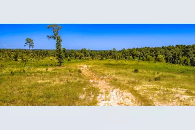400 Yaupon Cove Drive, Onalaska, TX 77360 - Photo 31