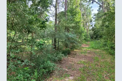 17038 Payne Rd, Conroe, TX 77302 - Photo 17