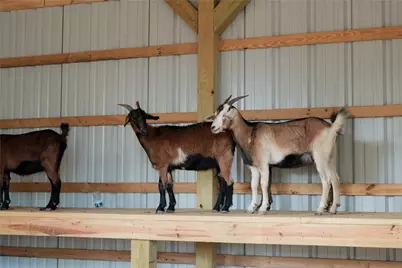 8662 Jam Session Drive, Montgomery, TX 77316 - Photo 35