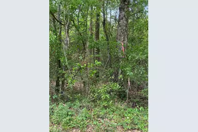 0 Friar Tuck Drive, Shepherd, TX 77371 - Photo 3