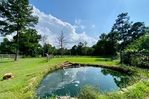 114 Leah Dr, Montgomery, TX 77316 - Photo 39