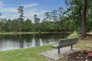 166 E Capstone Cir, Spring, TX 77381 - Photo 43