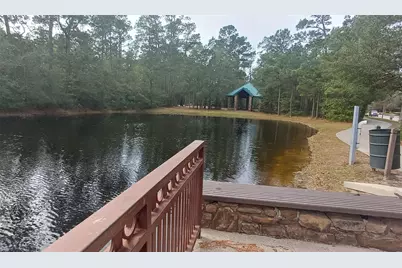 166 E Capstone Circle, Spring, TX 77381 - Photo 45