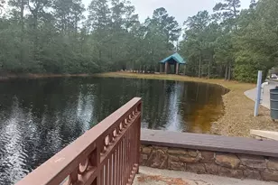 166 E Capstone Cir, Spring, TX 77381 - Photo 45