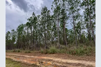 T-1 Farm To Market 1012, Newton, TX 75966 - Photo 7